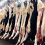 Abattoir Zampini (Possibilité Lundi /mardi)