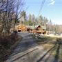 #15425 Maison Brownsburg-Chatham