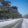 Arboretum Morgan - Hiver